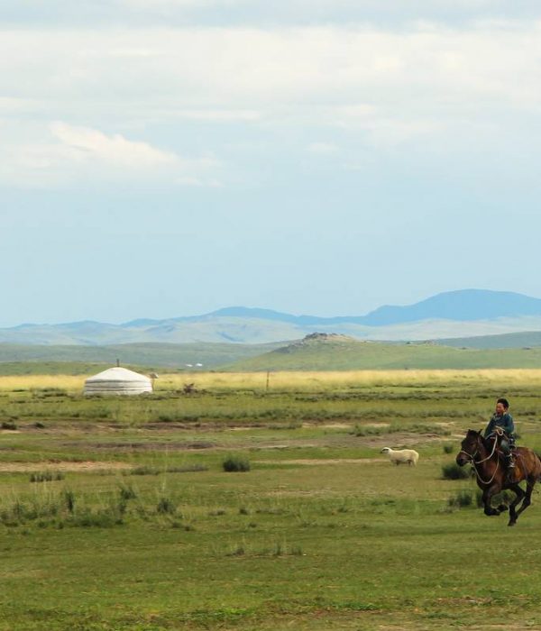 steppe of mongolia