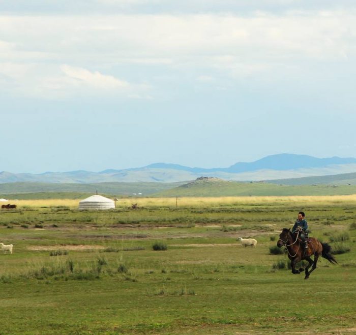 steppe of mongolia