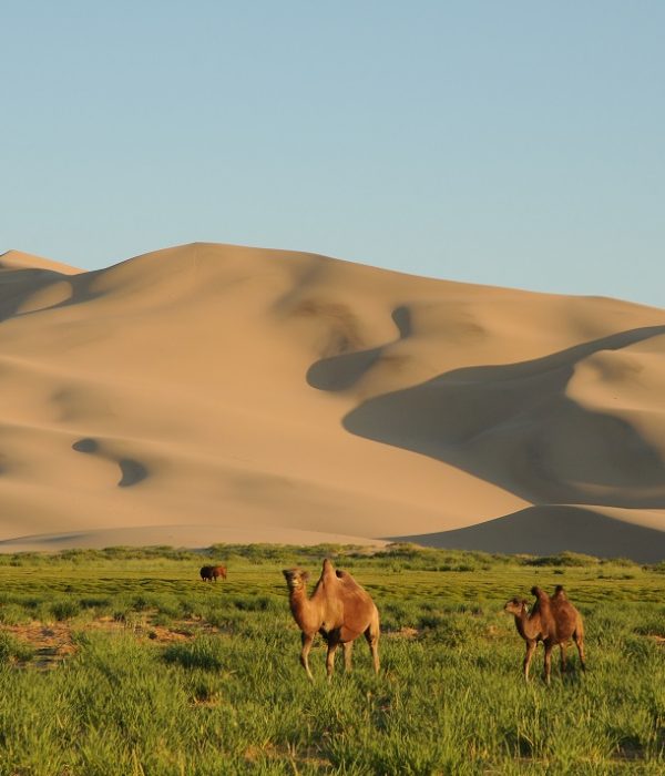 khongor sand dunes