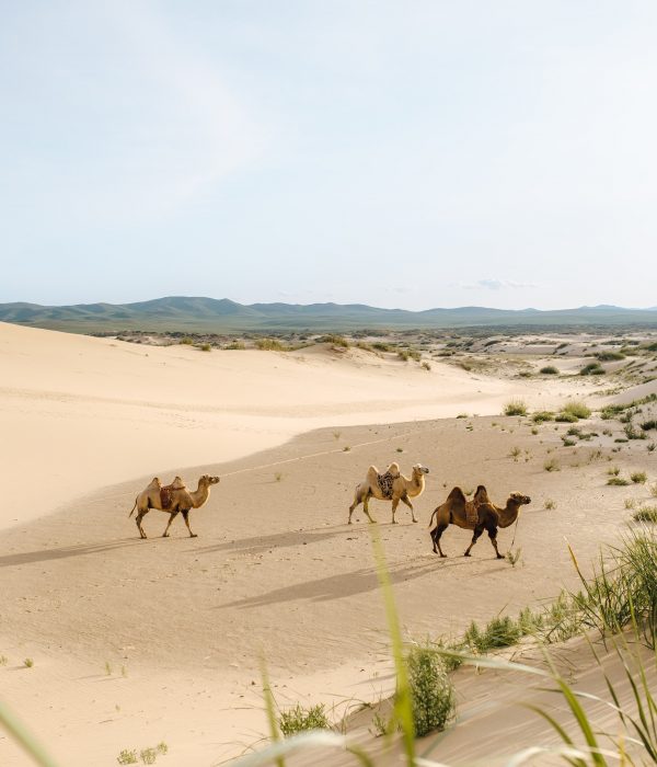 Kharakhorum, Elsen Tasarkhai Sand Dunes