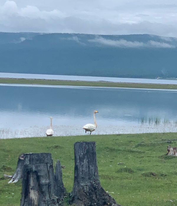 Khuvsgul Lake