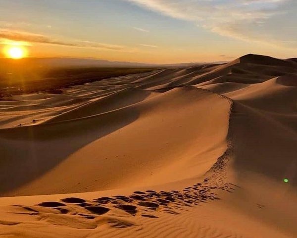 Gobi and grassland Mongolia